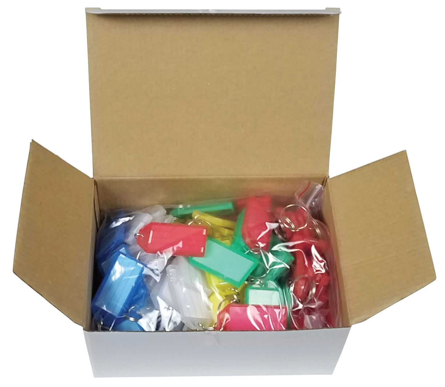 Plastic Key Tags with Split Ring & Label Window (100 Pack)