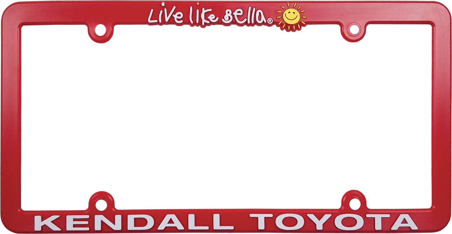Custom Molded Plastic Car Dealer License Plate Frames (250 Count)