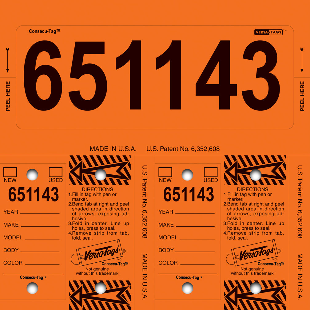 Consecu-Tags Key Tags by Versa Tags (125 Pack) Multi Color