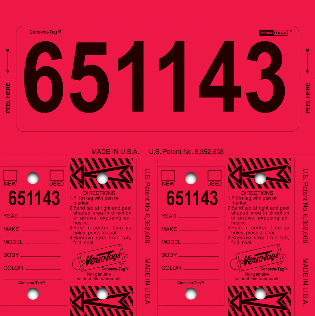 Consecu-Tags Key Tags by Versa Tags (125 Pack) Multi Color