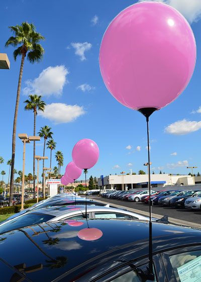Custom Reusble Balloon on Window Kit