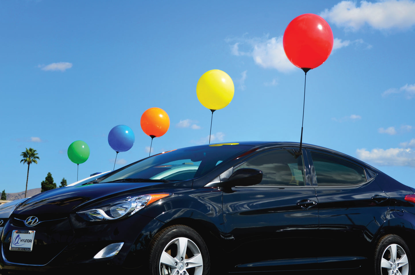 The Complete Helium-Free Balloon Window Kit