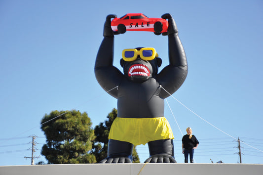 20' Gorilla Inflatable Kit (blower included)
