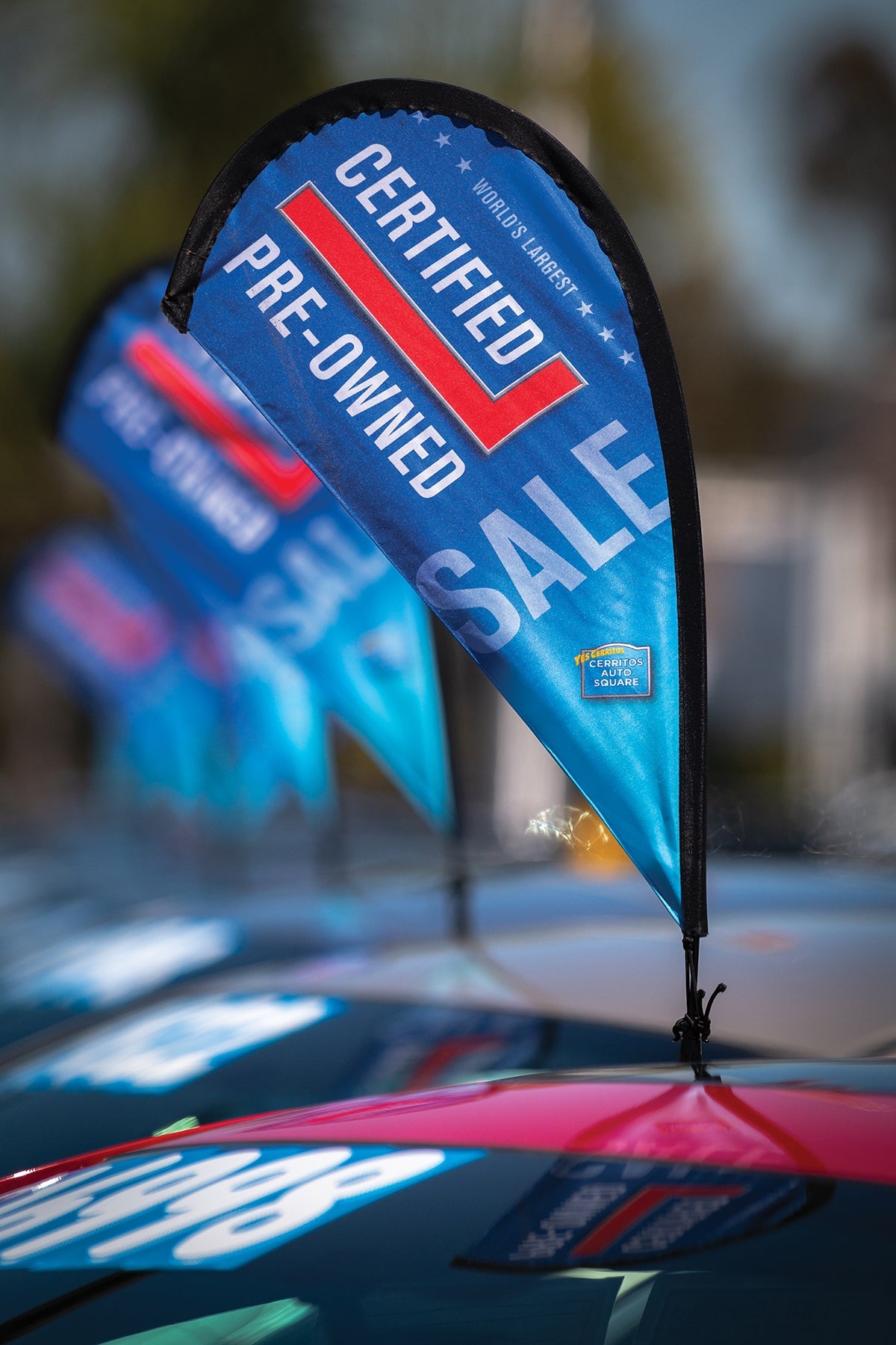 Custom Mini Tear Drop Paddle Flag Kit