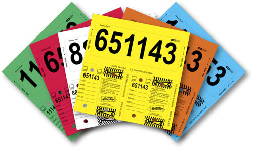 Consecu-Tags Key Tags by Versa Tags (125 Pack) Multi Color